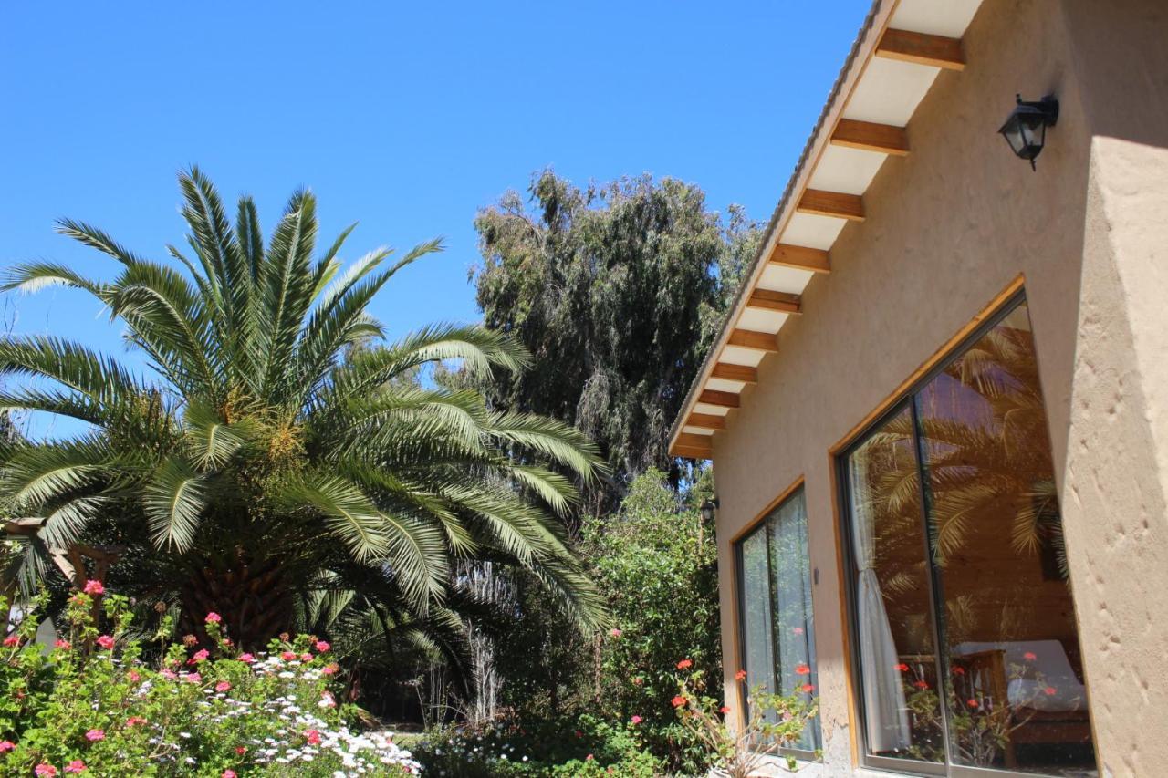 El Arbol Eco Lodge La Serena Kültér fotó