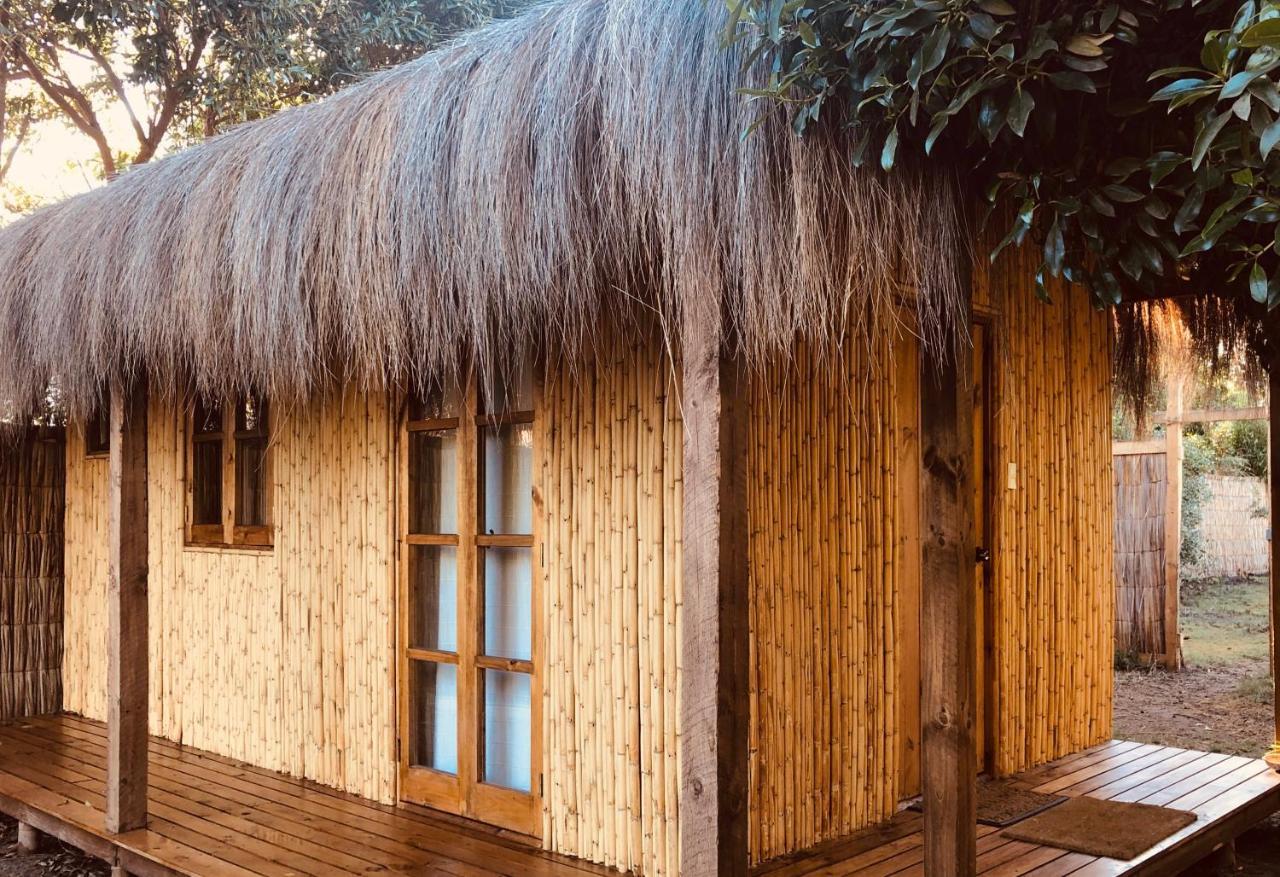 El Arbol Eco Lodge La Serena Kültér fotó