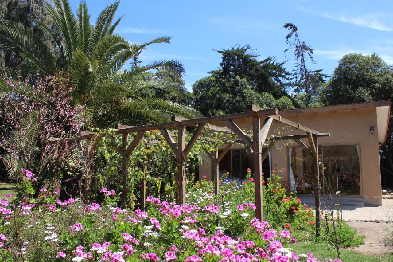 El Arbol Eco Lodge La Serena Kültér fotó