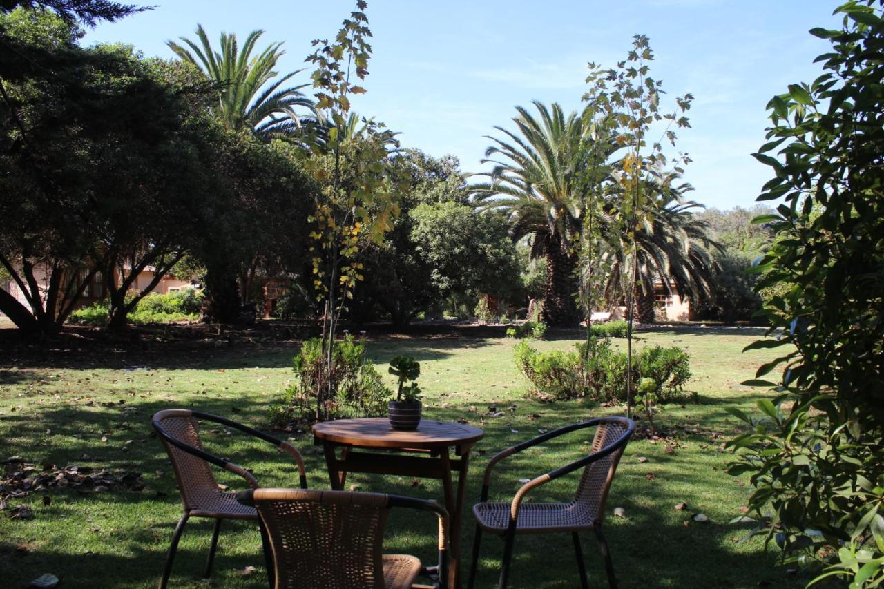El Arbol Eco Lodge La Serena Kültér fotó