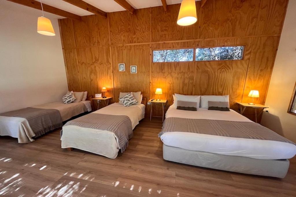 El Arbol Eco Lodge La Serena Kültér fotó