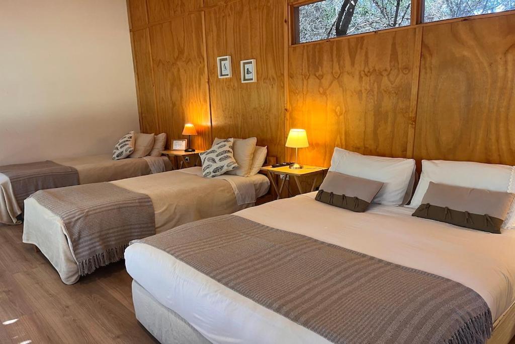 El Arbol Eco Lodge La Serena Kültér fotó