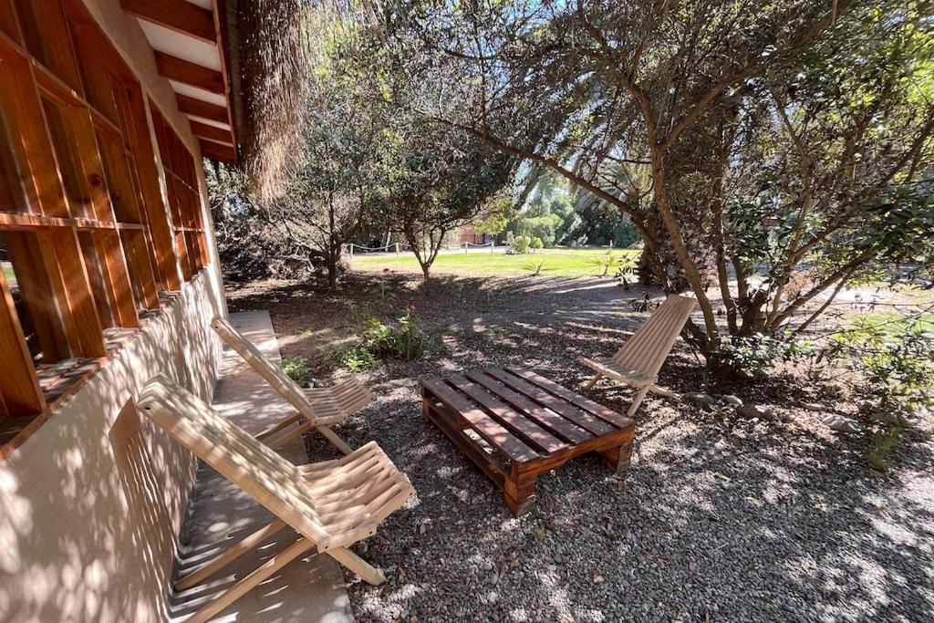 El Arbol Eco Lodge La Serena Kültér fotó