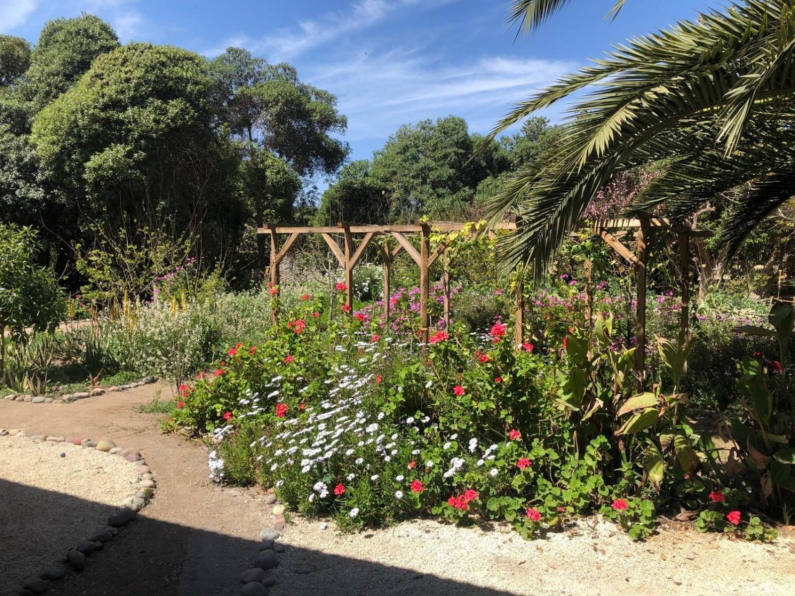 El Arbol Eco Lodge La Serena Kültér fotó