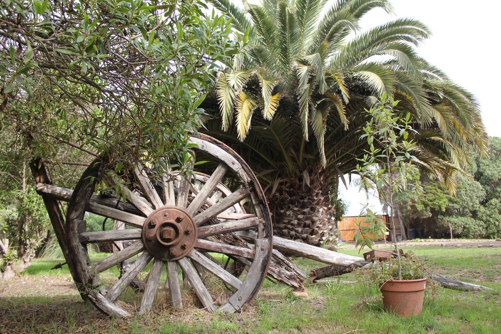 El Arbol Eco Lodge La Serena Kültér fotó